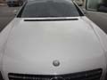 Mercedes Benz paint